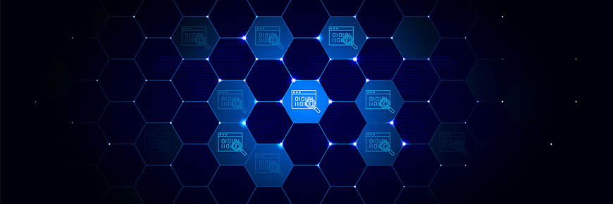 network audit