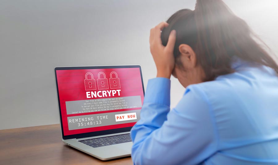 What Are the Signs of a Malware Infection? Early Detection and Response